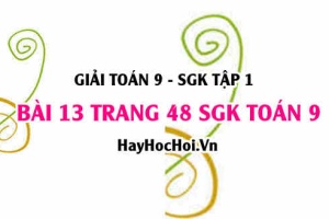 Giải bài 13 trang 48 SGK Toán 9 tập 1